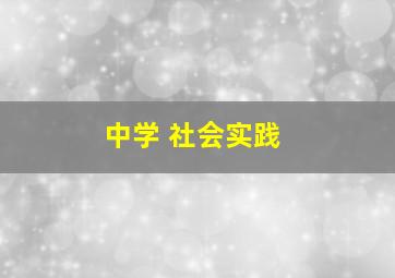 中学 社会实践